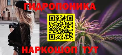 гашишное масло Гатчина