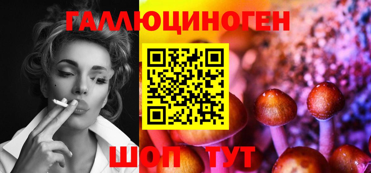 Галлюциногенные грибы GOLDEN TEACHER  наркошоп  Новоуральск  Вход с VPN 